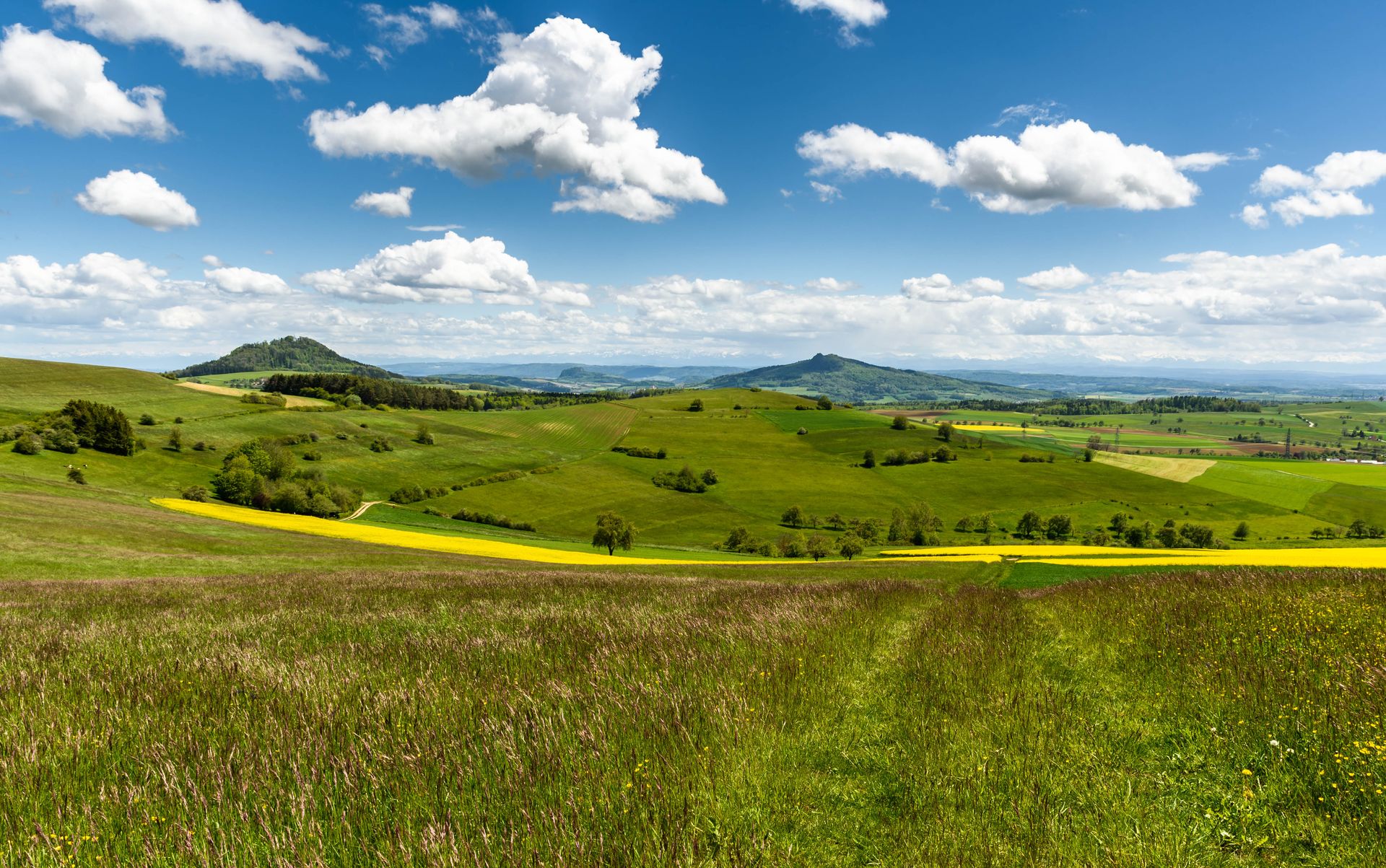 Grüne Felder und ein blühender Rapsstreifen, am Horizont die Vulkankegel des Hegaus